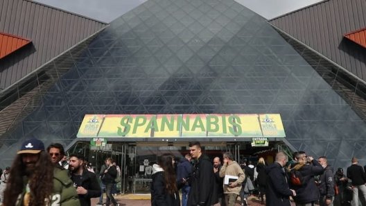 Spannabis: The World's Largest Cannabis Expo Takes the Pulse of the Industry