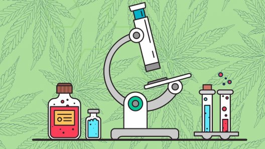 Is The Cannabis Market Ready For Lab-Grown Cannabinoids?
