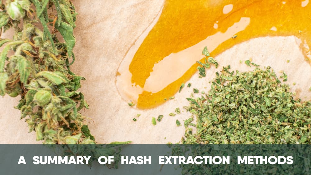 A summary of cannabis hash extraction methods