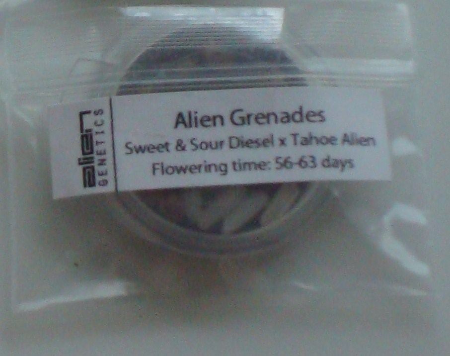 Alien grenade wars