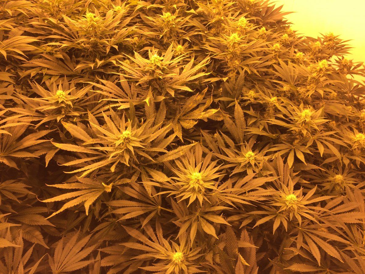 Any advise on this deficiency 3