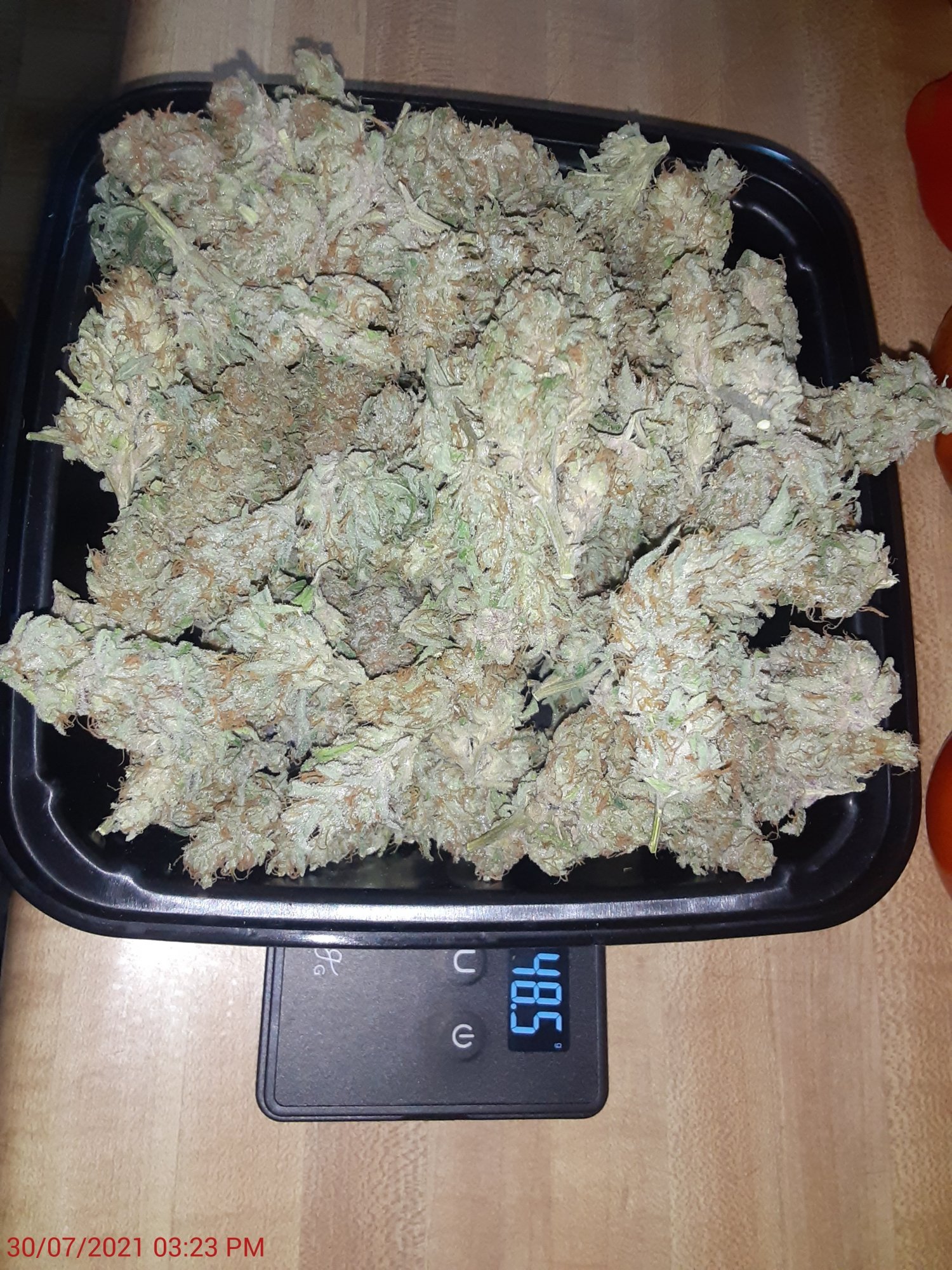 First harvest the unknown strain 3