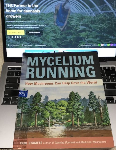 Paul Stamets Mycelium Running