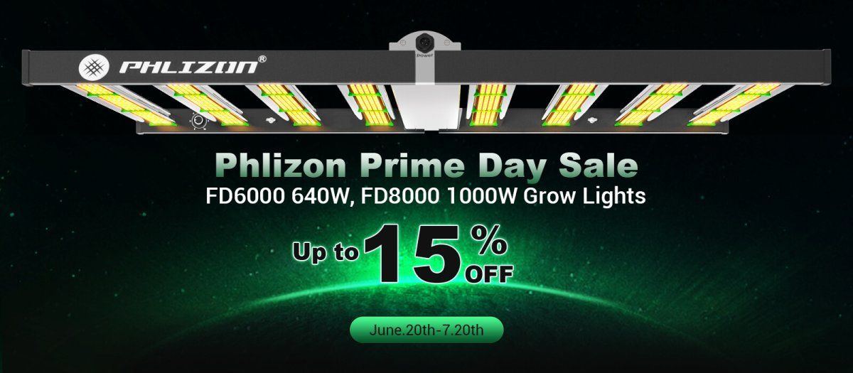 Phlizon prime day sale