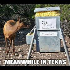 Texas hot popcorn deer feeder