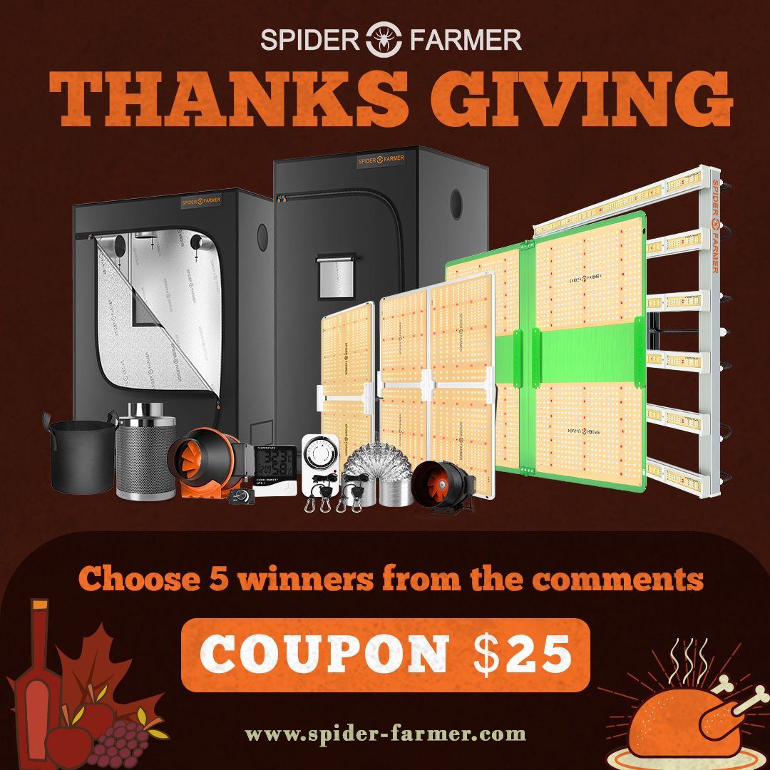 Thanksgiving web