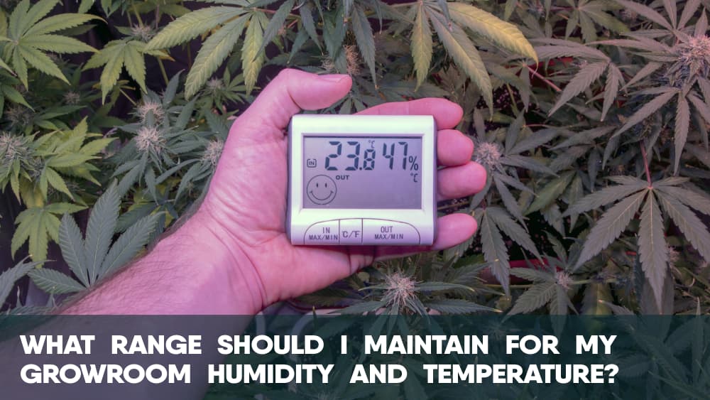 What range should I maintain for my cannabis growroom humidity and temperature